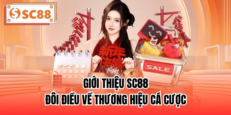 Giới thiệu SC88 - Đôi điều về thương hiệu cá cược