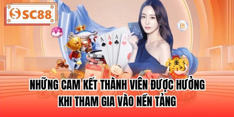 Những cam kết thành viên được hưởng khi tham gia vào nền tảng